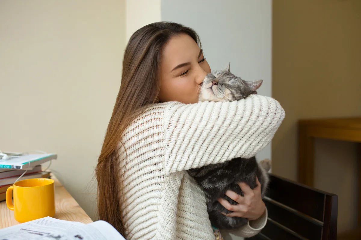 chat